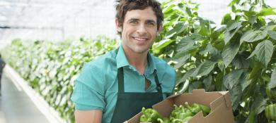 Food banks in the UK