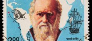 Charles Darwin art 