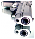 Land of the Free, Home of the Gun