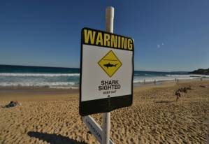 Nudist beach surfer punches shark to escape attack.jpg Nudist beach surfer punches shark to escape attack.jpg