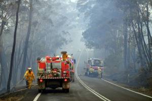 State of emergency declared as bushfires rage in Australia.jpg State of emergency declared as bushfires rage in Australia.jpg
