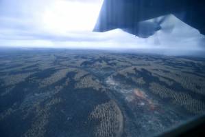 High alert for new Australia bushfires as heat and winds pick up.jpg High alert for new Australia bushfires as heat and winds pick up.jpg