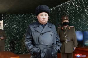 North Korea fires multiple projectiles.jpg North Korea fires multiple projectiles.jpg