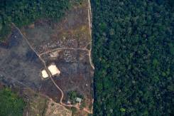 $4 trillion fund holders tell Brazil to halt deforestation.jpg $4 trillion fund holders tell Brazil to halt deforestation.jpg