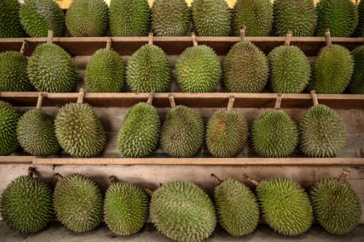 Durian fruit sparks Canberra 'gas leak' emergency