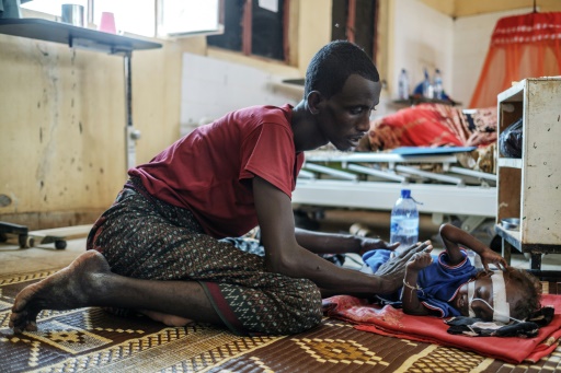 Worst drought in decades devastates Ethiopia's nomads
