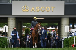 Stradivarius bids to make winning end to Royal Ascot career.jpg Stradivarius bids to make winning end to Royal Ascot career.jpg