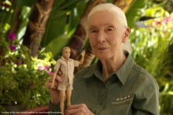 Mattel unveils Jane Goodall Barbie, complete with chimp.jpg Mattel unveils Jane Goodall Barbie, complete with chimp.jpg