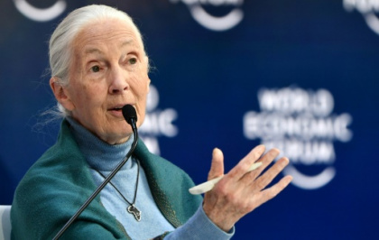 Climate change at 'point of no return'.jpg Climate change at 'point of no return'.jpg