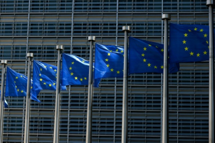 Brussels backs Bosnia for EU candidate status.jpg Brussels backs Bosnia for EU candidate status.jpg