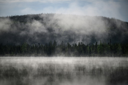 Subarctic boreal forest, vital for the planet, is at risk.jpg Subarctic boreal forest, vital for the planet, is at risk.jpg