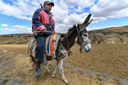 Tunisia drought threatens 'catastrophic' grain harvest.jpg