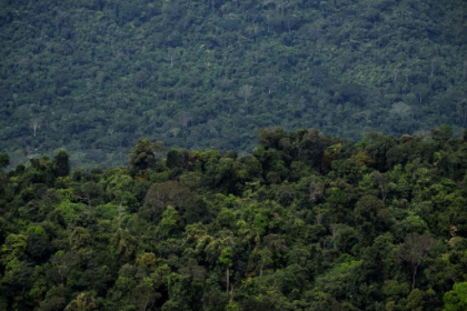 Brazil lawmakers vote to limit demarcation of Indigenous reserves.jpg Brazil lawmakers vote to limit demarcation of Indigenous reserves.jpg