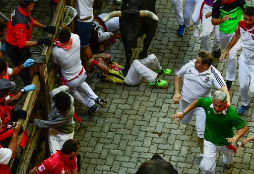 Spain's San Fermin bull runs wrap up with 35 injured