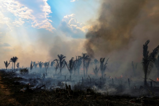 South American summit seeks roadmap to save Amazon