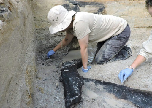 World's oldest wooden structure discovered in Zambia