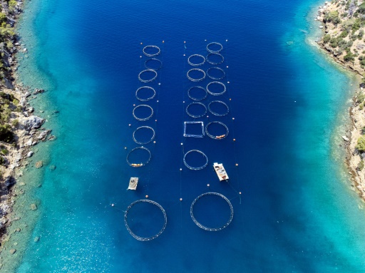 Greek islanders dismayed by plan to scale up fish farming