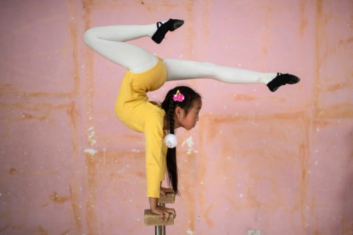 Mongolia's circus performers fight to preserve their craft