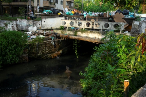 Brazil caimans fight to survive in polluted Rio waters