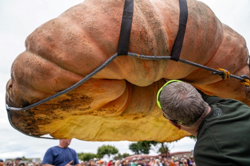 Oh my gourd: Hippo-sized pumpkin is world's biggest