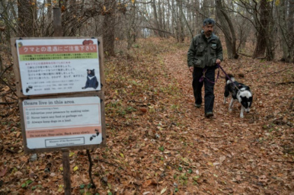 Dogs, antennas and honey for Japan's big bear problem.jpg