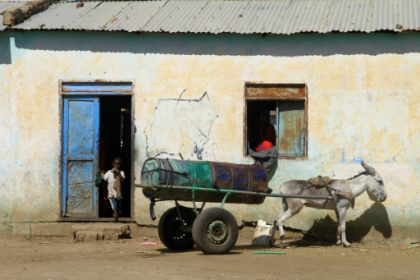 Harvest lost as war expands in famine-threatened Sudan.jpg