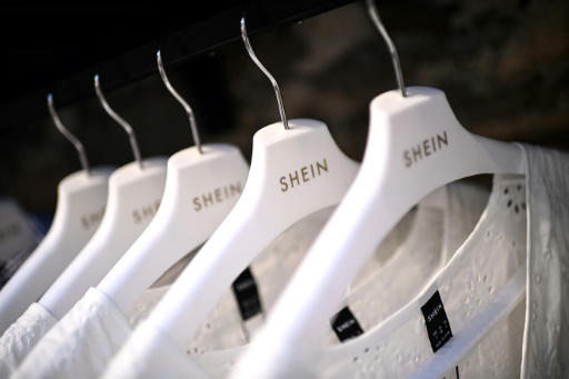 Clothing giant Shein in focus as France targets fast fashion