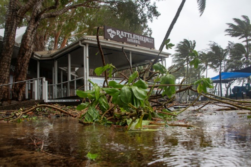 Crocs, cyclones and 'magnificent melaleucas': Aussie beach named world's best