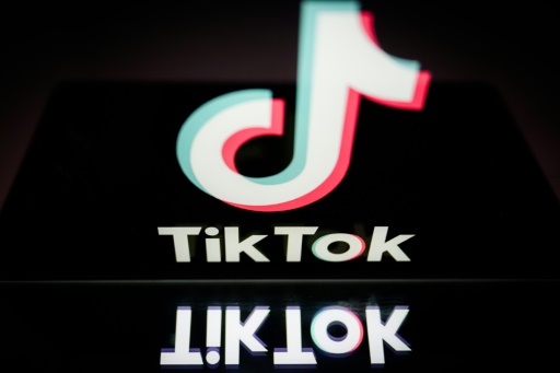 US House easily passes TikTok ban bill as eyes turn to Senate