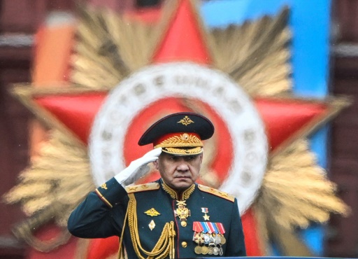 Putin removes defence minister Shoigu