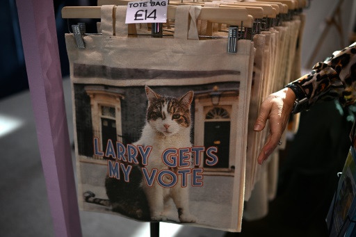 Britain's true ruler? Larry the Downing Street cat