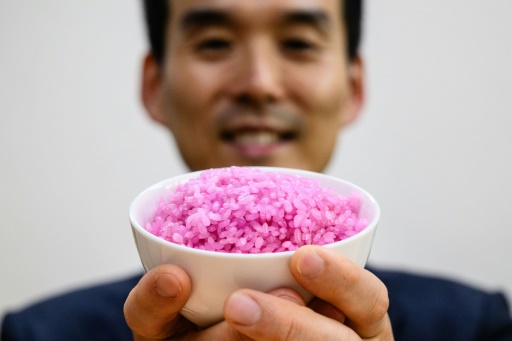 'Meaty rice'? South Korean professor aims to change global protein