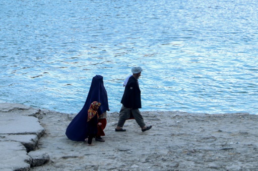 Afghan women struggle under male guardian rules