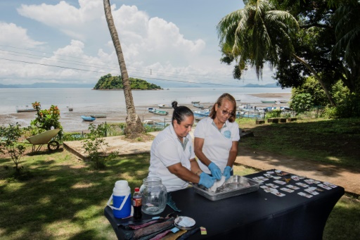 Carpe diem: the Costa Rican women turning fish into fashion