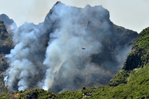 Portugal seeks EU help as wildfire threatens UNESCO-listed forest