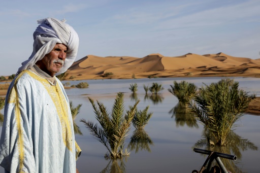 Rare Sahara floods bring Morocco's dried-up south back to life