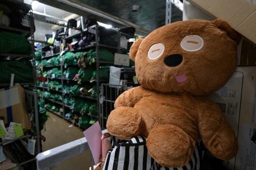 Tokyo police care for lost umbrellas, keys, flying squirrels