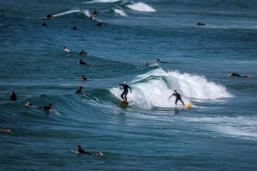 Surfboards with bright lights could deter shark attacks