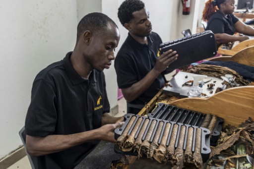 In Mozambique, cigars 100% made in Africa