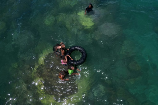 Scientists say world's largest coral found near Solomon Islands