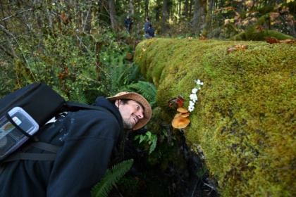 mushroom hunters seek new species and recognition.jpg