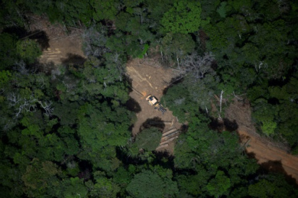 Brazil's Amazon posts lowest deforestation in nine years.jpg