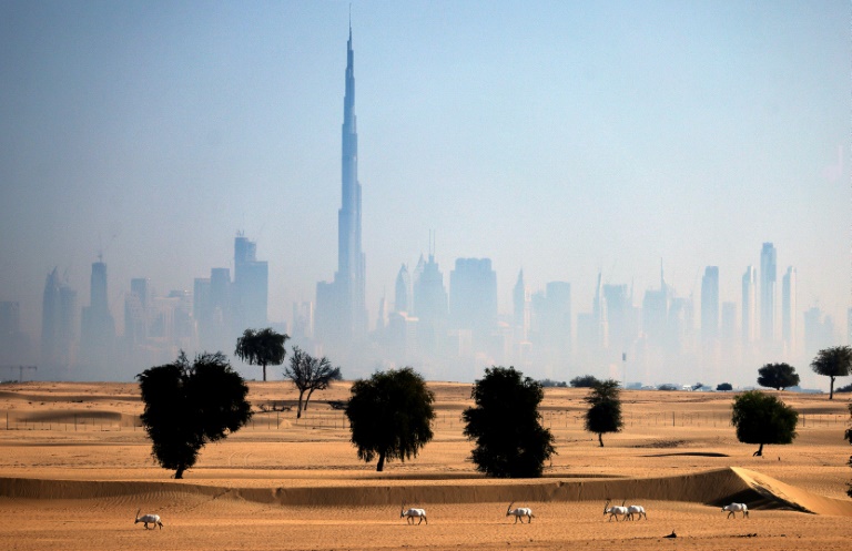 Stuck in eternal drought, UAE turns to AI to make it rain