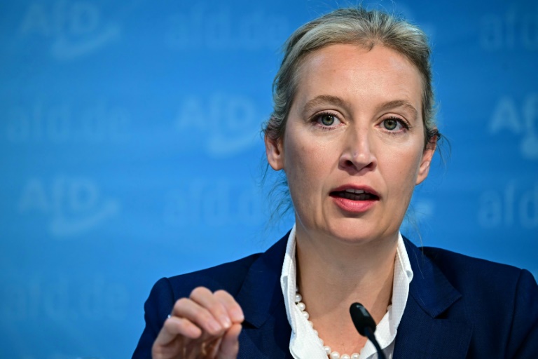 Alice Weidel, German far right's unlikely hope for chancellor