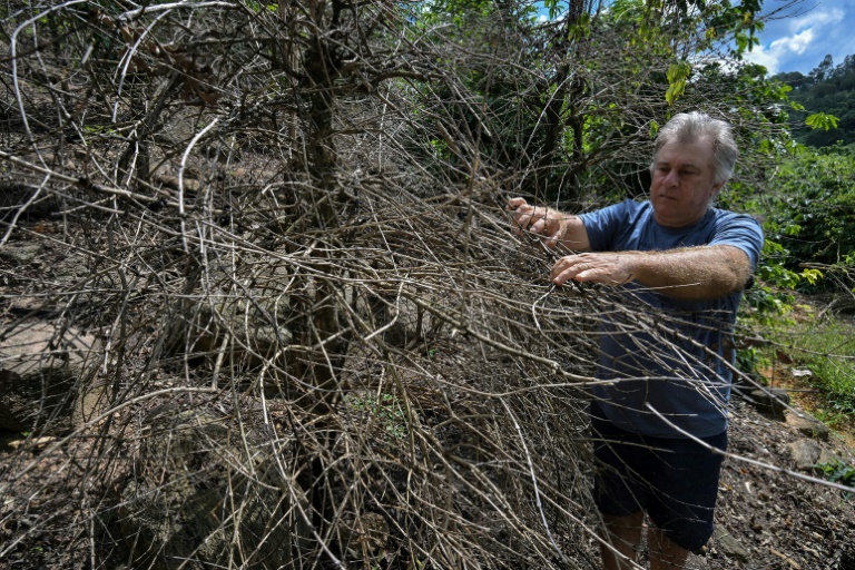 Brazil drought lights a fire under global coffee prices