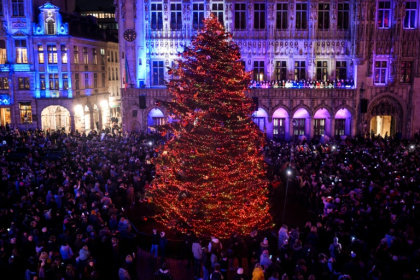 Belgium's food safety agency warned the public about eating Christmas trees