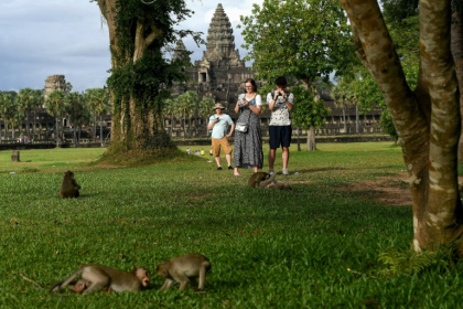 Wild monkeys egged on by YouTubers have been rampaging at Cambodia's famed Angkor Wat complex