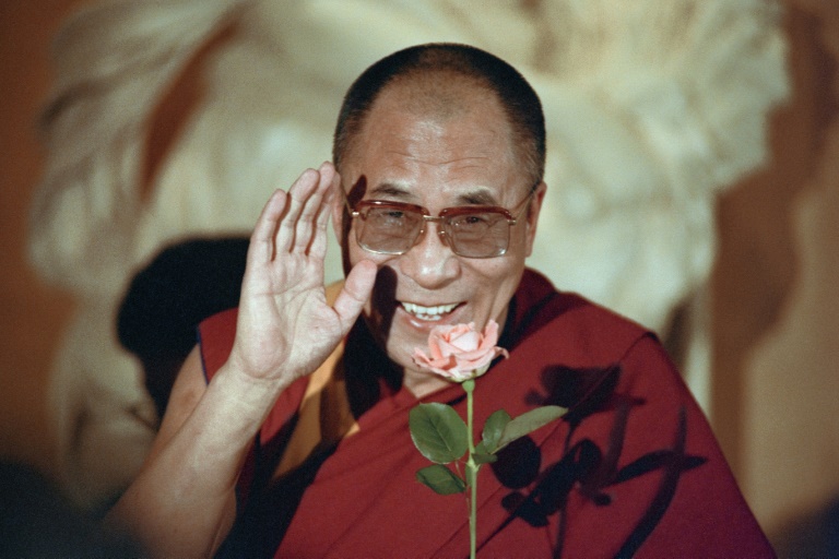 Dalai Lama book offers 'framework' for after his death