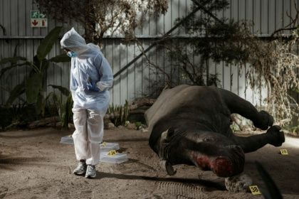 The Wildlife Forensic Academy is set inside a warehouse in a private game reserve The Wildlife Forensic Academy is set inside a warehouse in a private game reserve