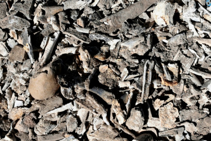 Human bones and clothing were discovered at a ranch in western Mexico in March - ULISES RUIZ (AFP) Human bones and clothing were discovered at a ranch in western Mexico in March - ULISES RUIZ (AFP)